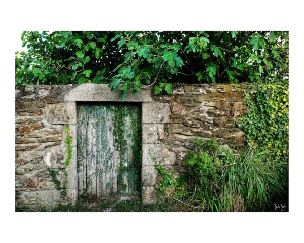 MD-19 - Le jardin oublié