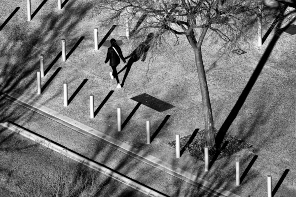 Michel Wayer - 03