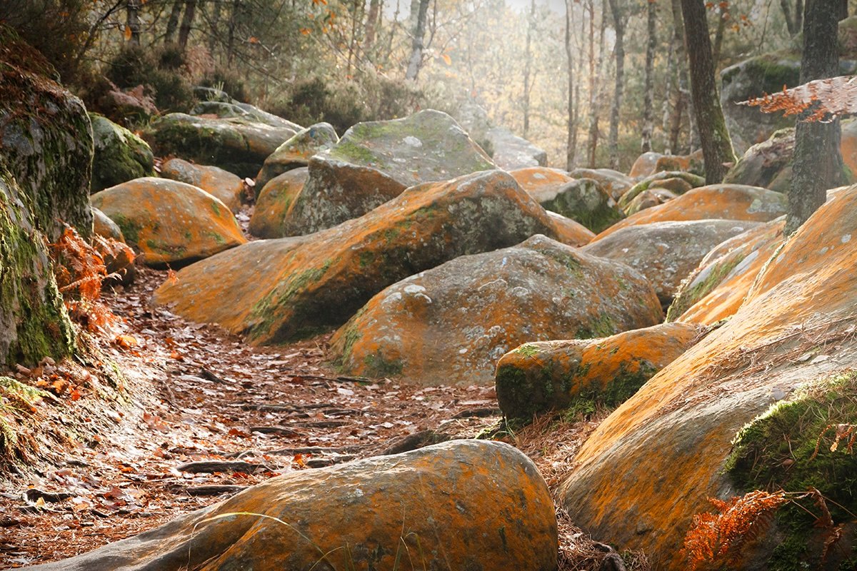 Chrystelle Raso - Forêt de Fontainebleau - fragment 06 : La mémoire des rochers