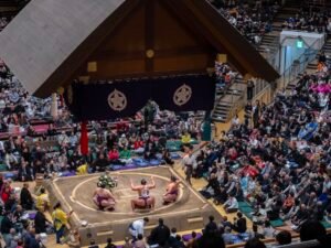 MAX REBOTIER SUMO 02