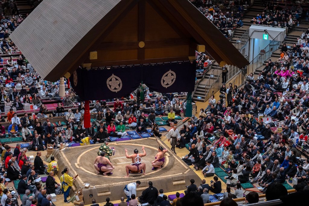 MAX REBOTIER SUMO 02