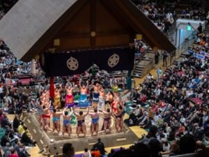 MAX REBOTIER SUMO 03