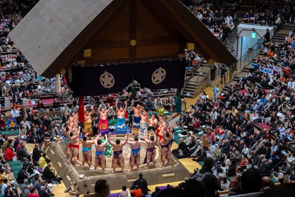 MAX REBOTIER SUMO 03