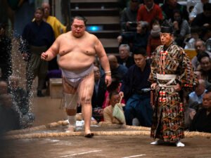 MAX REBOTIER SUMO 05