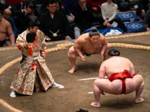 MAX REBOTIER SUMO 07