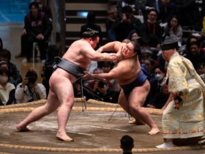 MAX REBOTIER SUMO 09