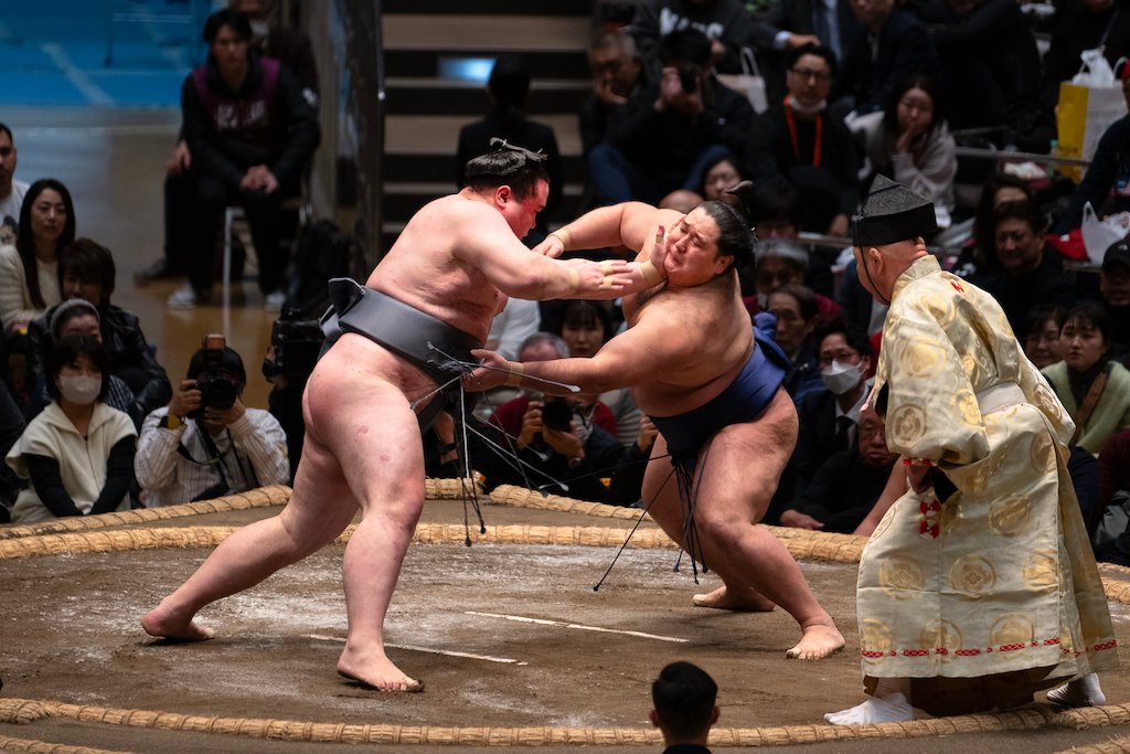 MAX REBOTIER SUMO 09
