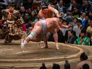 MAX REBOTIER SUMO 10
