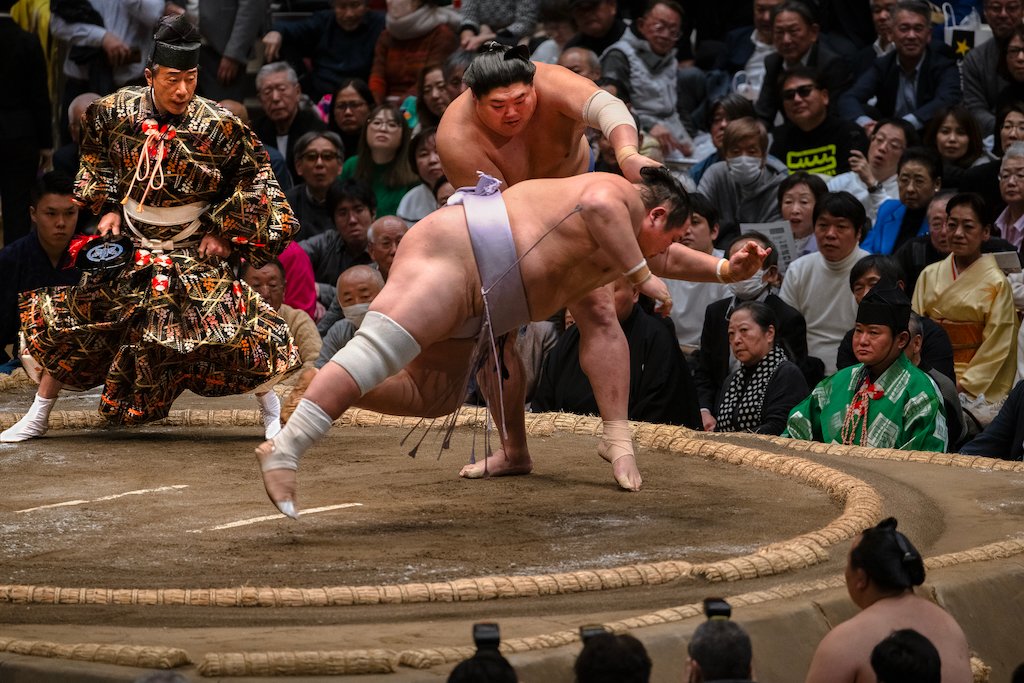 MAX REBOTIER SUMO 10