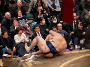 MAX REBOTIER SUMO 11