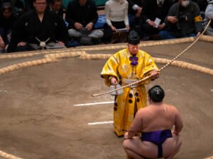 MAX REBOTIER SUMO 12