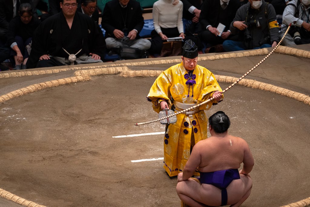 MAX REBOTIER SUMO 12
